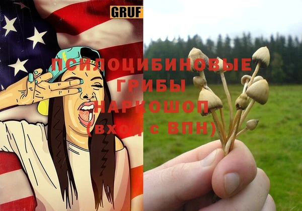 винт Алексеевка