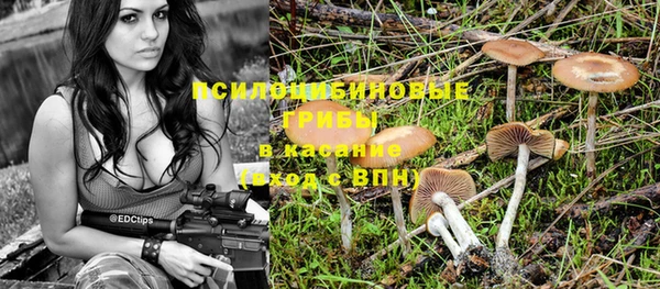 ECSTASY Алексин